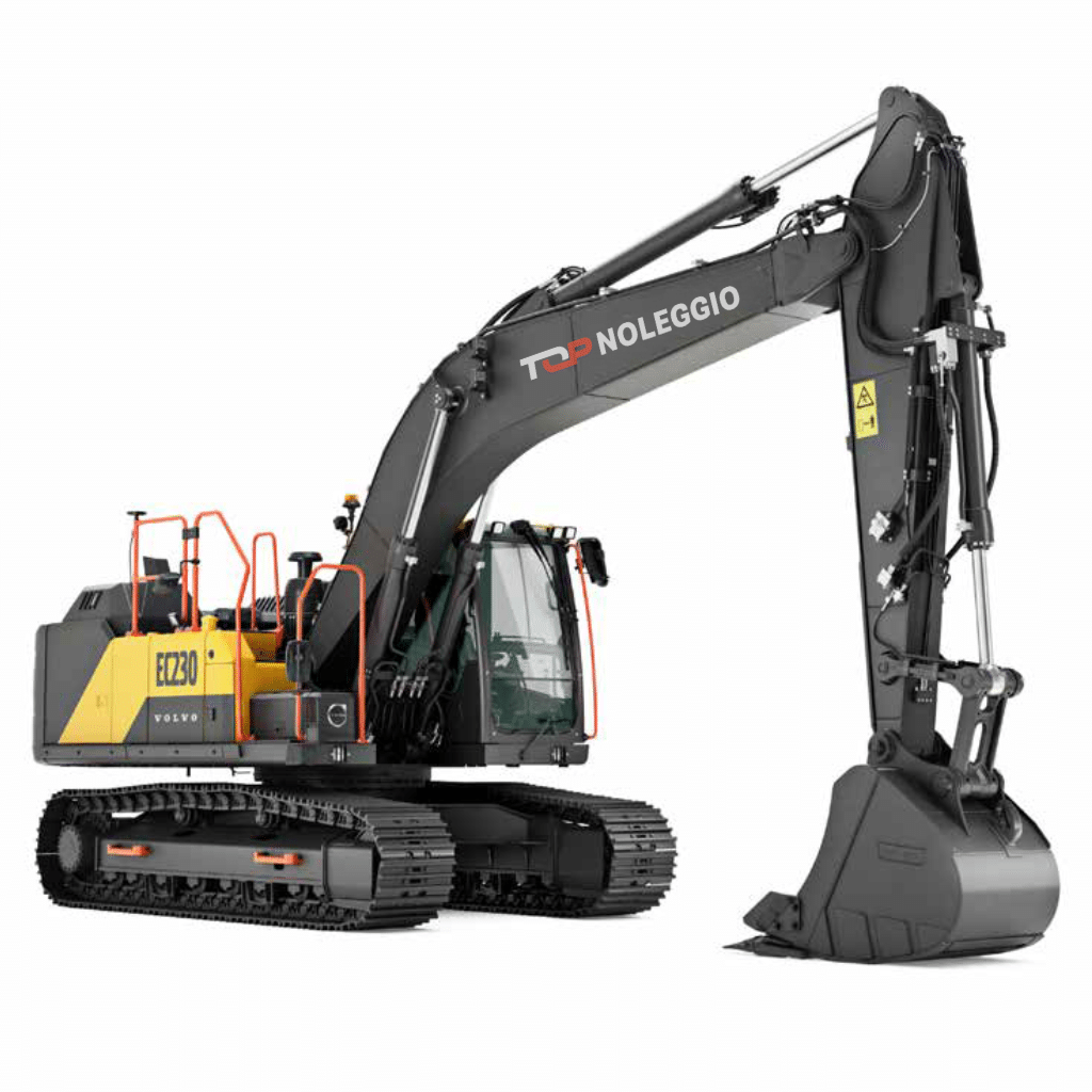 escavatore 100 quintali